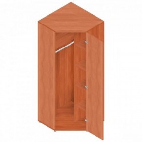 Шкаф для одежды "Референт" Р.Ш-10 в Нытве - nytva.ok-mebel.com | фото