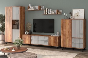 Шкаф комбинированный Онтарио 474.06 в Нытве - nytva.ok-mebel.com | фото 5