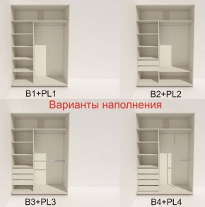 Шкаф-купе 1400 серии SOFT D8+D2+B2+PL4 (2 ящика+F обр.штанга) профиль «Графит» в Нытве - nytva.ok-mebel.com | фото 6