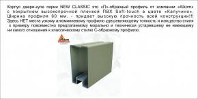 Шкаф-купе 1500 серии NEW CLASSIC K3+K3+B2+PL1 (2 ящика+1 штанга) профиль «Капучино» в Нытве - nytva.ok-mebel.com | фото 5