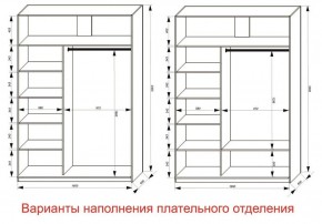 Шкаф-купе 1600 серии SOFT D1+D3+B2+PL1 (2 ящика+1штанга) профиль «Графит» в Нытве - nytva.ok-mebel.com | фото 6