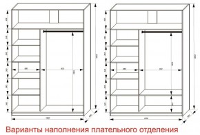 Шкаф-купе 1600 серии SOFT D6+D4+B2+PL2 (2 ящика+1штанга+1 полка) профиль «Капучино» в Нытве - nytva.ok-mebel.com | фото 8