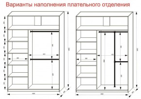 Шкаф-купе 1600 серии SOFT D6+D4+B2+PL2 (2 ящика+1штанга+1 полка) профиль «Капучино» в Нытве - nytva.ok-mebel.com | фото 9