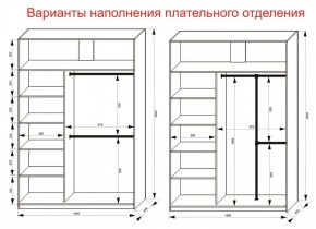 Шкаф-купе 1600 серии SOFT D6+D6+B2+PL3 (2 ящика+2штанги) профиль «Капучино» в Нытве - nytva.ok-mebel.com | фото 7