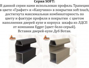 Шкаф-купе 1800 серии SOFT D1+D3+B2+PL1 (2 ящика+1штанга) профиль «Графит» в Нытве - nytva.ok-mebel.com | фото 11