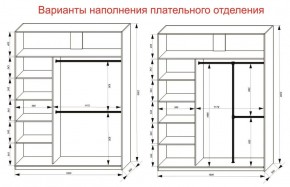 Шкаф-купе 1800 серии SOFT D1+D3+B2+PL1 (2 ящика+1штанга) профиль «Графит» в Нытве - nytva.ok-mebel.com | фото 7