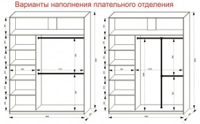 Шкаф-купе 1800 серии SOFT D8+D2+B2+PL4 (2 ящика+F обр.штанга) профиль «Графит» в Нытве - nytva.ok-mebel.com | фото 8