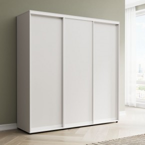 Шкаф-купе Акцент-Сим Д 1500-600 (Белый шагрень) в Нытве - nytva.ok-mebel.com | фото