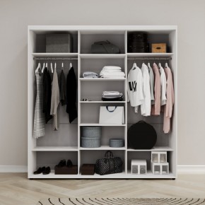 Шкаф-купе Акцент-Сим Д 1500-600 в Нытве - nytva.ok-mebel.com | фото 2