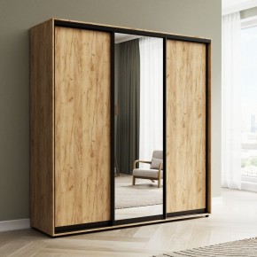 Шкаф-купе Акцент-Сим ДЗ 1800-600 в Нытве - nytva.ok-mebel.com | фото 6