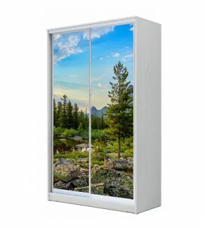 Шкаф-купе ХИТ 22-14-77 (620) в Нытве - nytva.ok-mebel.com | фото 5