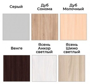 Шкаф-купе ХИТ 22-18-111 (620) в Нытве - nytva.ok-mebel.com | фото 3