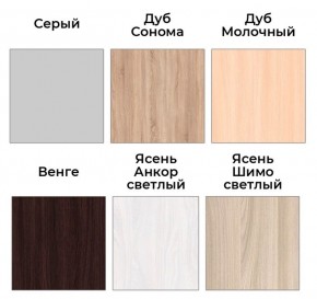 Шкаф-купе ХИТ 22-4-14-11 (420) в Нытве - nytva.ok-mebel.com | фото 5