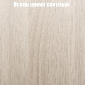 Шкаф-купе «ТАНДЕМ» 2-х дверный в алюминиевом профиле (Дверь ЛДСП+Z) 1400/h2200 в Нытве - nytva.ok-mebel.com | фото 6
