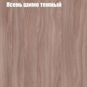 Шкаф-купе «ТАНДЕМ» 2-х дверный в алюминиевом профиле (Дверь ЛДСП+Z) 1400/h2200 в Нытве - nytva.ok-mebel.com | фото 7