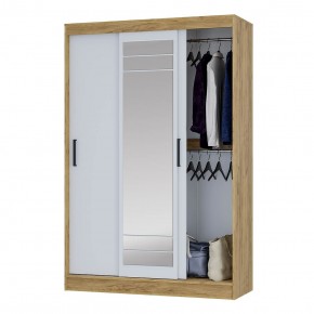 Шкаф-купе Тео ШКК-02 (крафт/белый) в Нытве - nytva.ok-mebel.com | фото 3