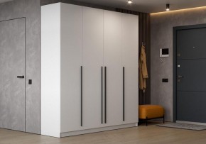 Шкаф платяной Бирма в Нытве - nytva.ok-mebel.com | фото 4