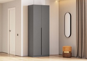 Шкаф платяной Даиго в Нытве - nytva.ok-mebel.com | фото 3