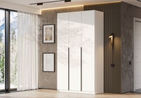 Шкаф платяной Даиго в Нытве - nytva.ok-mebel.com | фото 3