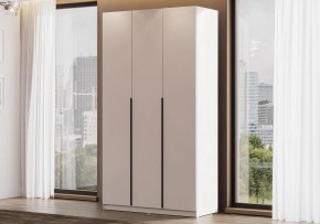 Шкаф платяной Даиго в Нытве - nytva.ok-mebel.com | фото 2