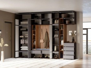 Шкаф платяной Роут в Нытве - nytva.ok-mebel.com | фото 2
