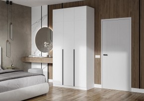 Шкаф платяной Широн в Нытве - nytva.ok-mebel.com | фото 4