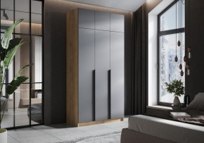 Шкаф платяной Широн в Нытве - nytva.ok-mebel.com | фото 4