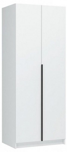 Шкаф платяной Широн в Нытве - nytva.ok-mebel.com | фото