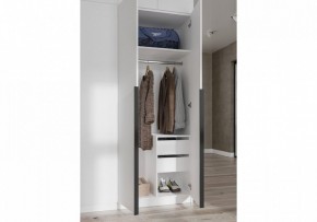Шкаф платяной Широн в Нытве - nytva.ok-mebel.com | фото 3