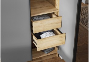 Шкаф платяной Широн в Нытве - nytva.ok-mebel.com | фото 3