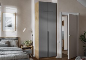 Шкаф платяной Широн в Нытве - nytva.ok-mebel.com | фото 4