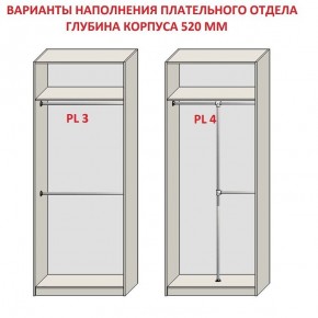 Шкаф распашной серия «ЗЕВС» (PL3/С1/PL2) в Нытве - nytva.ok-mebel.com | фото 10