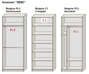 Шкаф распашной серия «ЗЕВС» (PL3/С1/PL2) в Нытве - nytva.ok-mebel.com | фото 2