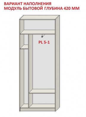 Шкаф распашной серия «ЗЕВС» (PL3/С1/PL2) в Нытве - nytva.ok-mebel.com | фото 4