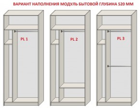 Шкаф распашной серия «ЗЕВС» (PL3/С1/PL2) в Нытве - nytva.ok-mebel.com | фото 5