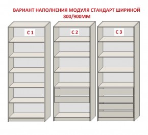 Шкаф распашной серия «ЗЕВС» (PL3/С1/PL2) в Нытве - nytva.ok-mebel.com | фото 6