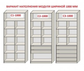 Шкаф распашной серия «ЗЕВС» (PL3/С1/PL2) в Нытве - nytva.ok-mebel.com | фото 7