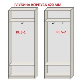 Шкаф распашной серия «ЗЕВС» (PL3/С1/PL2) в Нытве - nytva.ok-mebel.com | фото 8