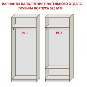 Шкаф распашной серия «ЗЕВС» (PL3/С1/PL2) в Нытве - nytva.ok-mebel.com | фото 9