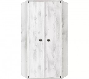 Шкаф угловой JSZFN 2d (МС Индиана) сосна каньон в Нытве - nytva.ok-mebel.com | фото