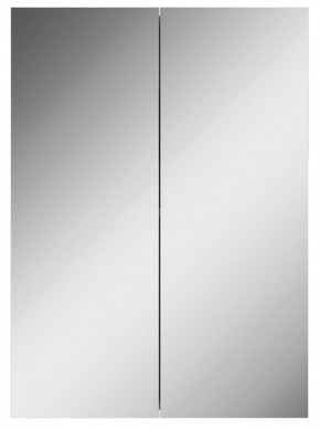Шкаф-зеркало Норма 50 2 двери АЙСБЕРГ (DA1636HZ) в Нытве - nytva.ok-mebel.com | фото 4
