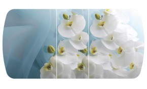 Стол Бостон-3 (Белая Орхидея) 1100/1420*700, опора Брифинг в Нытве - nytva.ok-mebel.com | фото 2