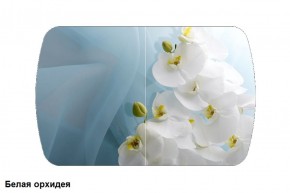 Стол Бостон 900*600 (опоры Брифинг) Стекло/фотопечать Белая Орхидея в Нытве - nytva.ok-mebel.com | фото