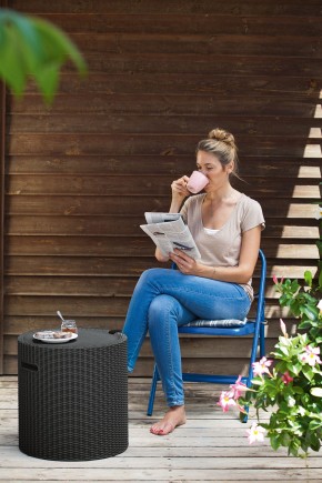 Столик-холодильник Кул-Стул (Cool stool) графит в Нытве - nytva.ok-mebel.com | фото