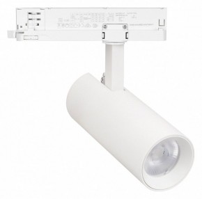 Светильник на штанге Arlight GERA 055032 в Нытве - nytva.ok-mebel.com | фото