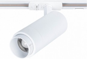 Светильник на штанге Arte Lamp Merak A3530PL-1WH в Нытве - nytva.ok-mebel.com | фото