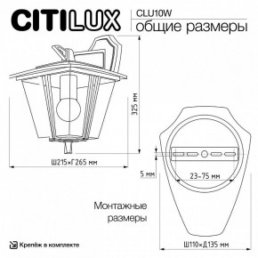 Светильник на штанге Citilux FORTS CLU10W в Нытве - nytva.ok-mebel.com | фото 9