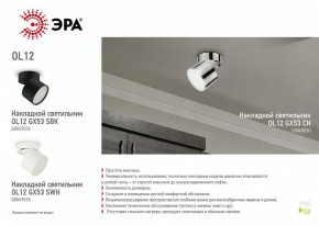 Светильник на штанге Эра OL12 GX53 CH Б0049030 в Нытве - nytva.ok-mebel.com | фото 3