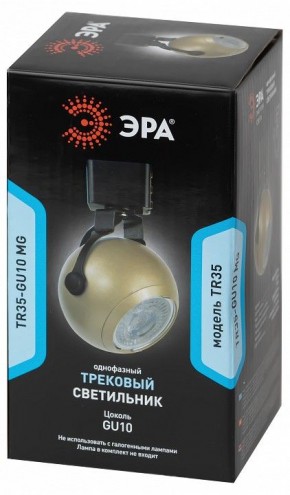 Светильник на штанге Эра  TR35-GU10 MG в Нытве - nytva.ok-mebel.com | фото 4