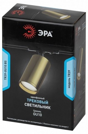 Светильник на штанге Эра  TR39-GU10 BS в Нытве - nytva.ok-mebel.com | фото 4